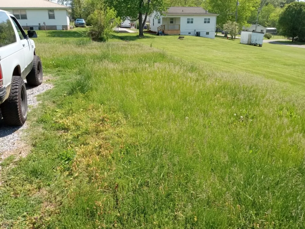 Local yard maintenance experts serving Knoxville, TN - Easterday Emporium