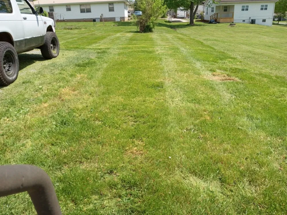 Affordable landscaping services for residential properties in Knoxville, TN by Easterday Emporium