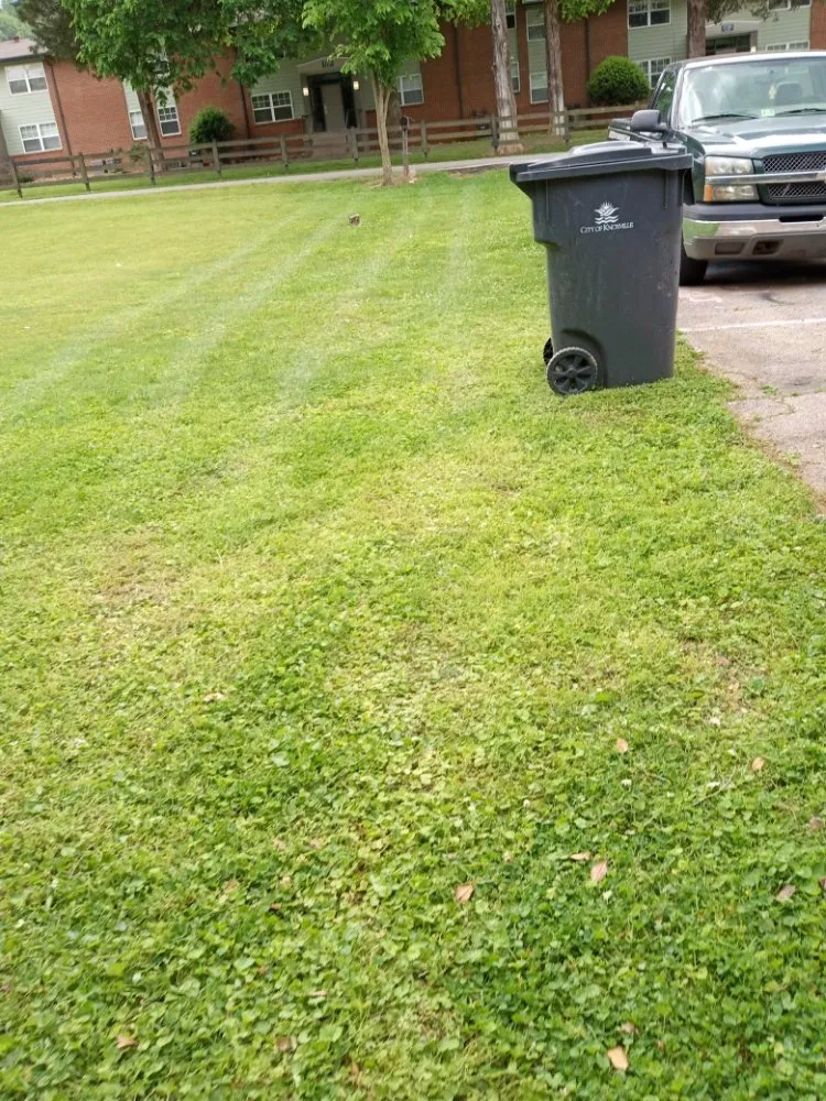 Custom landscape design in Knoxville, TN - Easterday Emporium