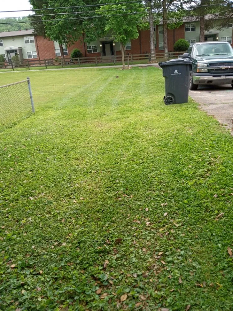 Top-rated lawn care service for residential properties in Knoxville, TN by Easterday Emporium