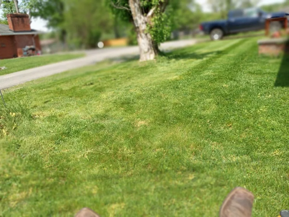 Professional yard maintenance in Knoxville, TN - Easterday Emporium