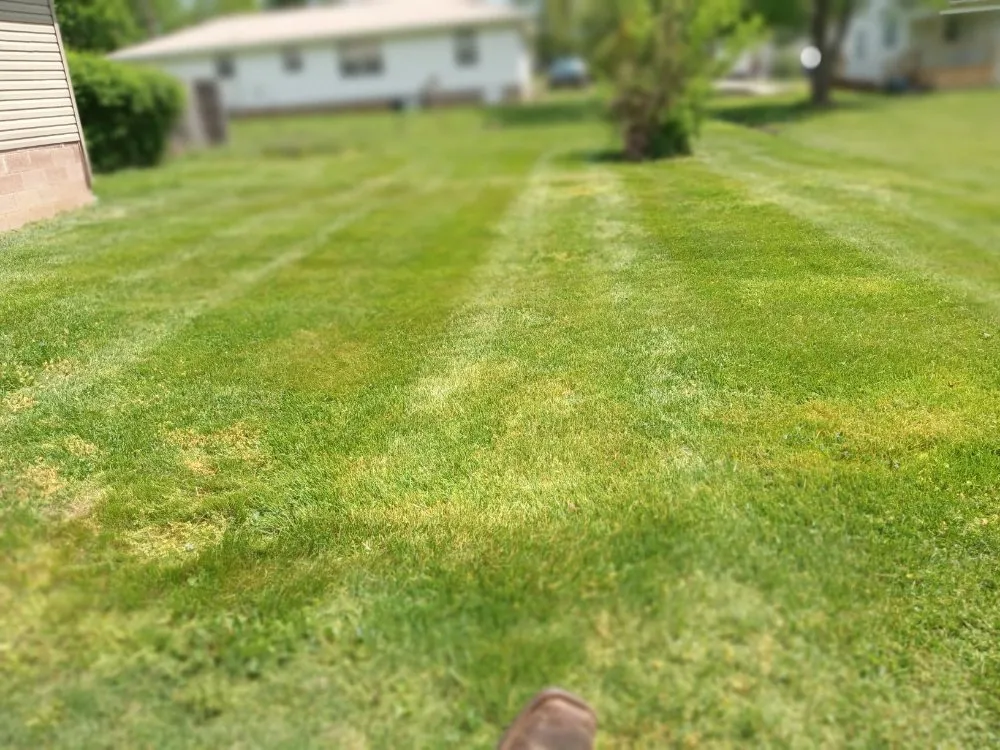 Custom landscape installation for year-round maintenance across Knoxville, TN - Easterday Emporium