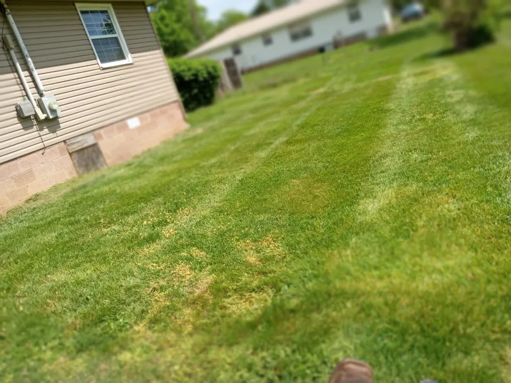 Custom landscaping services for beautiful yards in Knoxville, TN by Easterday Emporium