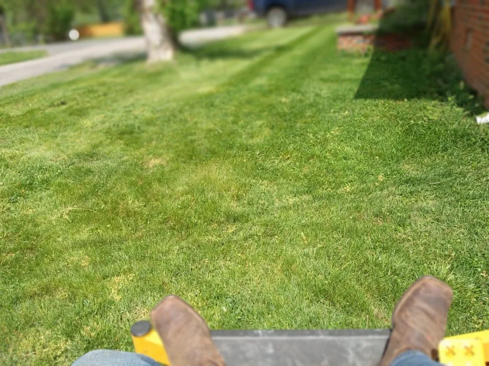 Custom garden landscaping for beautiful yards in Knoxville, TN by Easterday Emporium