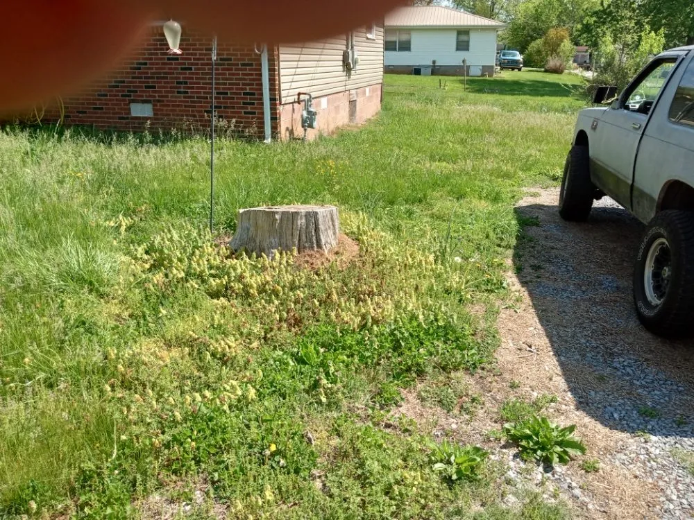 Professional garden landscaping experts serving Knoxville, TN - Easterday Emporium