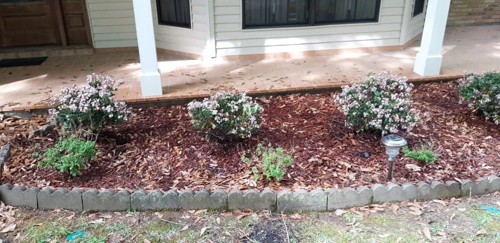 Affordable yard maintenance experts serving Picayune, MS - Easterling Brothers