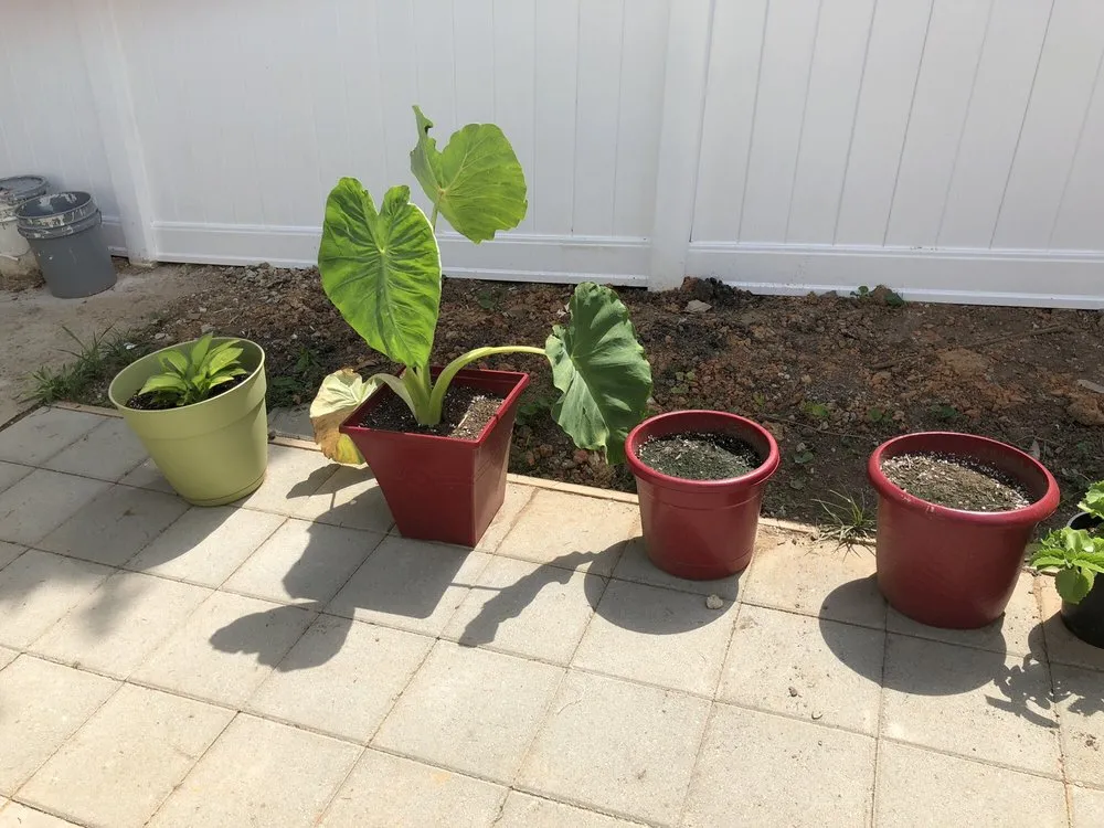 Affordable landscape installation in Bowie, MD - Eastern Grounds Landscaping