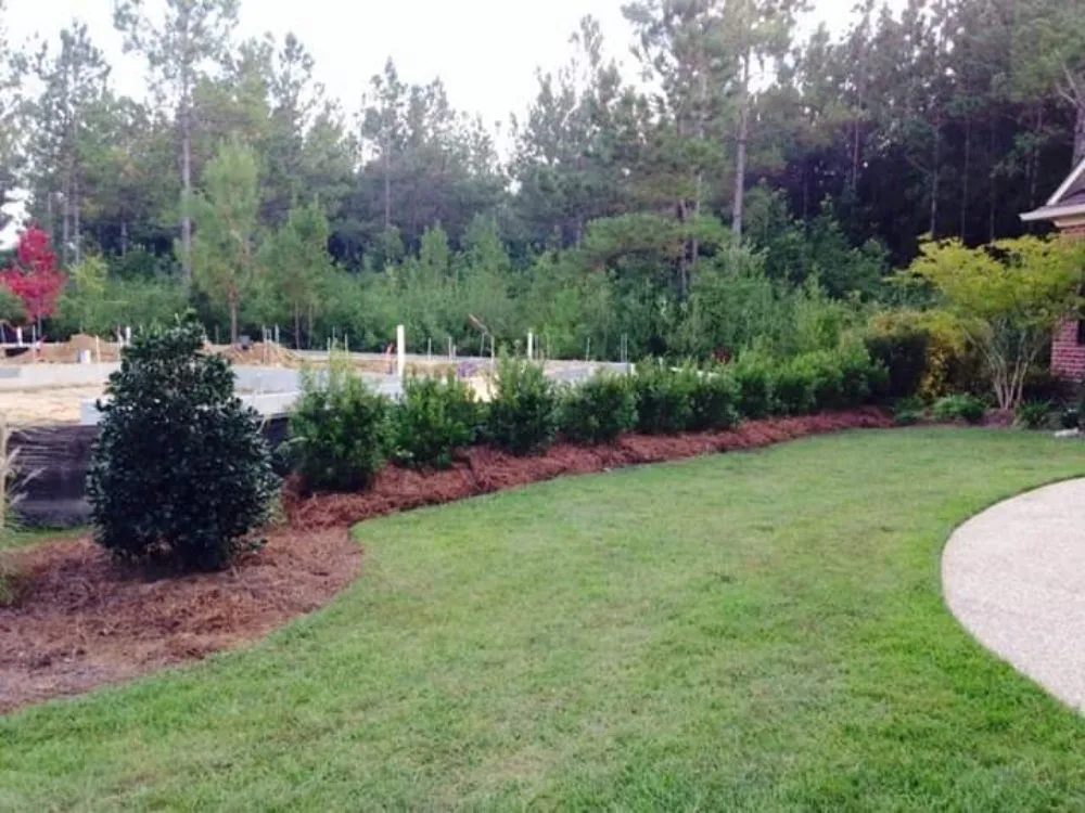 Professional lawn care service in Leland, NC - Eastern Home and Lawn Services
