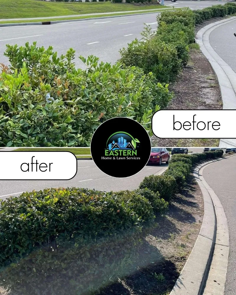 Expert landscape design in Leland, NC by Eastern Home and Lawn Services