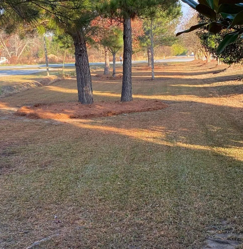 Local lawn mowing service for beautiful yards in Leland, NC by Eastern Home and Lawn Services