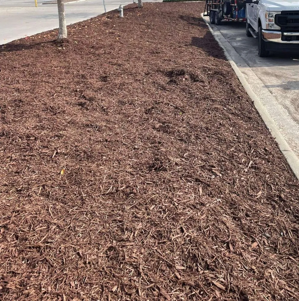 Expert landscape design with custom design in Leland, NC by Eastern Home and Lawn Services