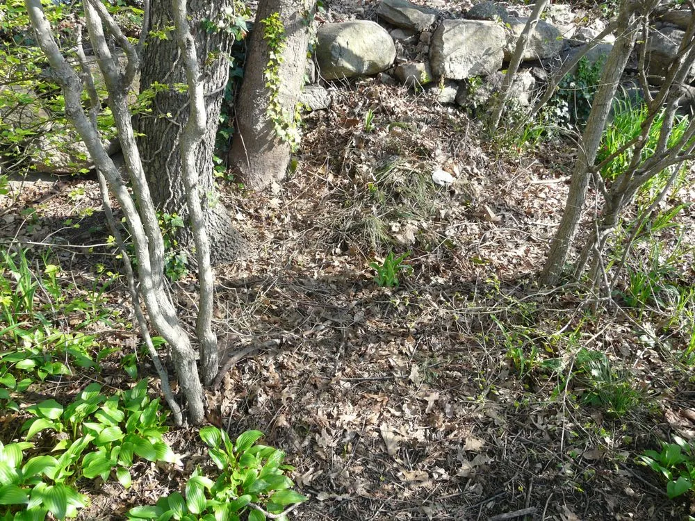 Custom landscaping services in Stamford, CT by Eastern Land Management