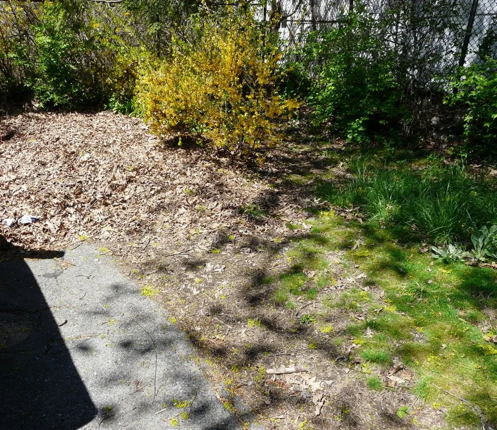 Expert residential landscaping in Stamford, CT by Eastern Land Management