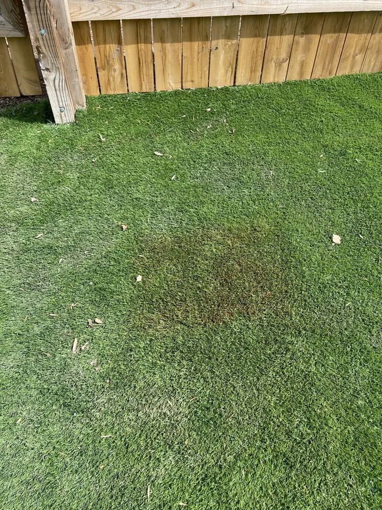 Reliable garden landscaping for year-round maintenance in Watkins, CO by Eastern Lawn & Landscape