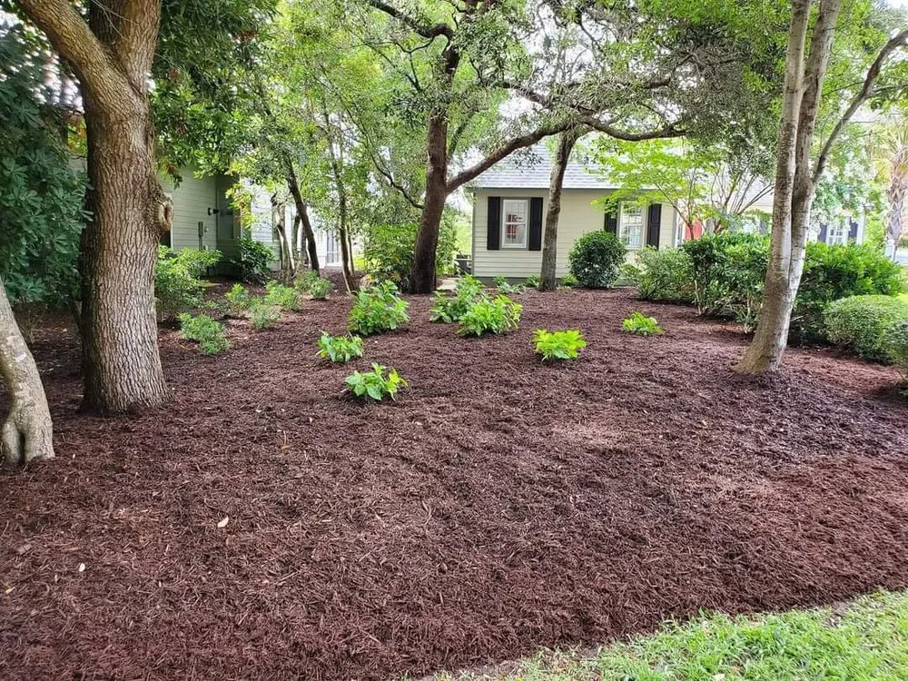 Local garden landscaping in Morehead City, NC - Eastern Lawn Care