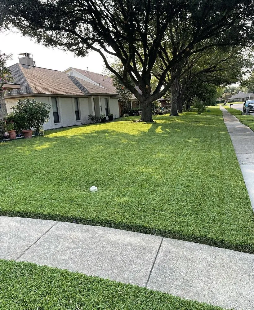 Top-rated landscape installation in Kaufman, TX by Eastern Lawn Care Solutions