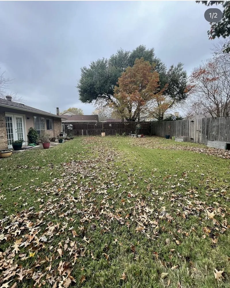 Affordable landscape installation in Kaufman, TX by Eastern Lawn Care Solutions