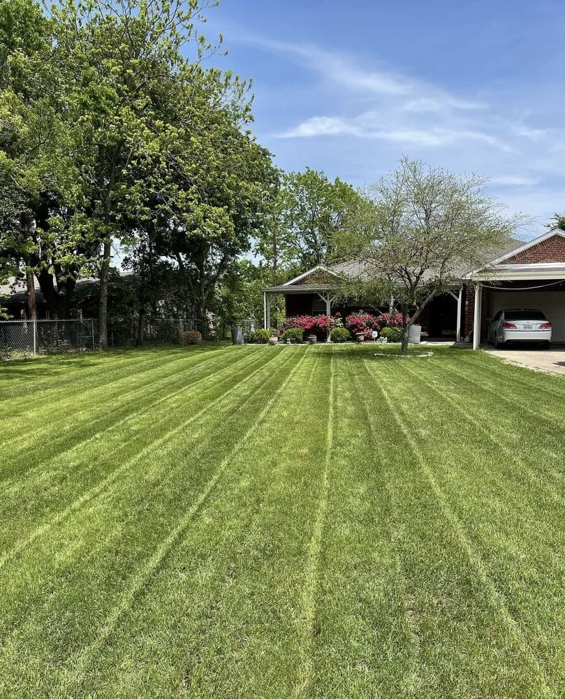 Local yard cleanup service in Kaufman, TX - Eastern Lawn Care Solutions
