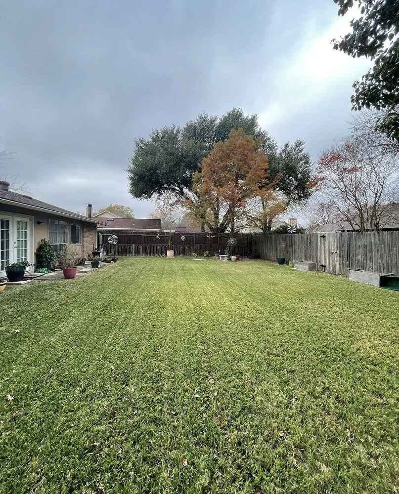 Affordable landscaping services experts serving Kaufman, TX - Eastern Lawn Care Solutions