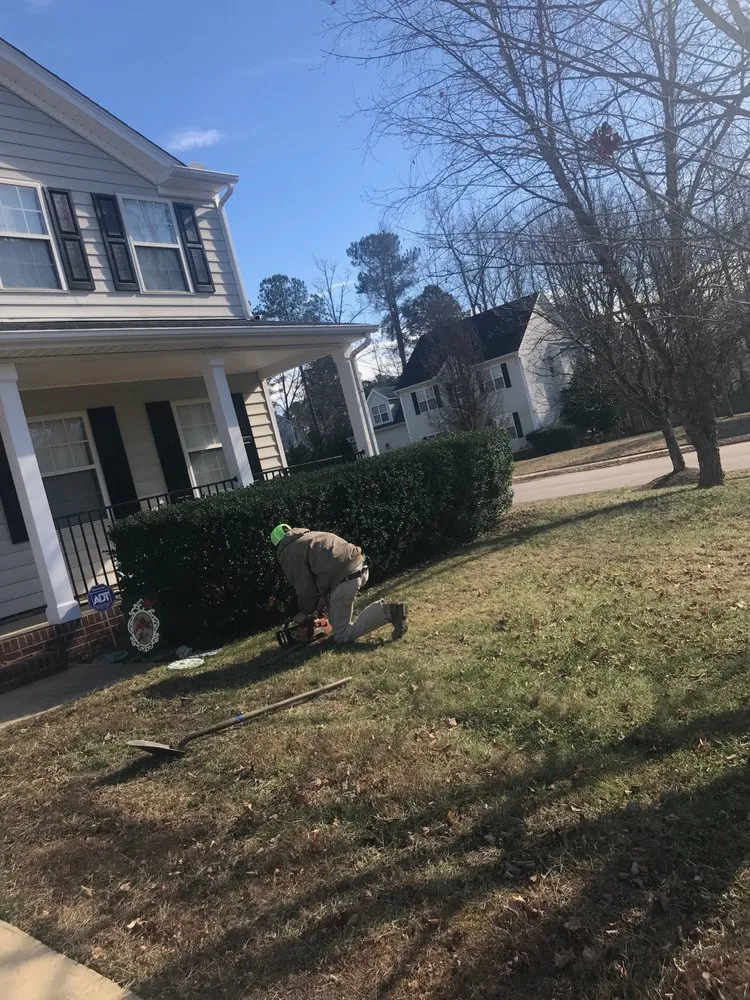 Professional garden landscaping experts serving La Grange, NC - Eastern Property Solutions