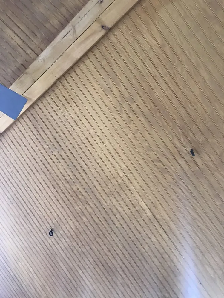 Trusted landscape installation for residential properties in La Grange, NC by Eastern Property Solutions