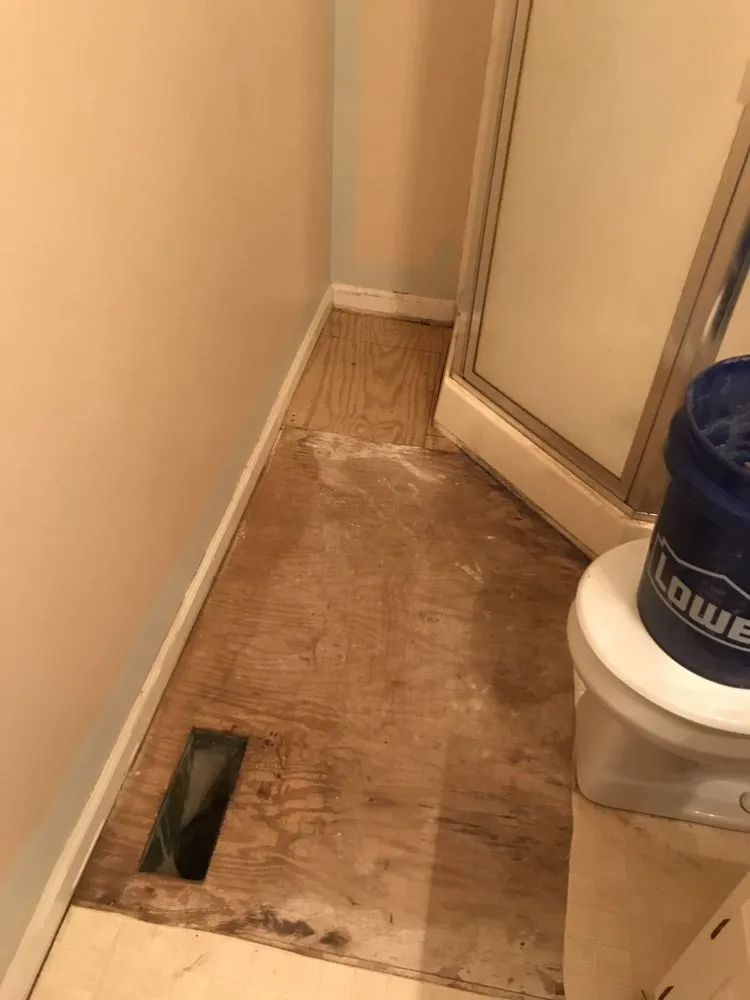 Expert residential landscaping near you in La Grange, NC by Eastern Property Solutions