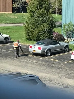 Eastern View Landscape Mgmt & Horticultural Svcs Logo