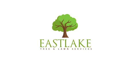 Trusted lawn care service in Atlanta, GA by EastLake Tree Services