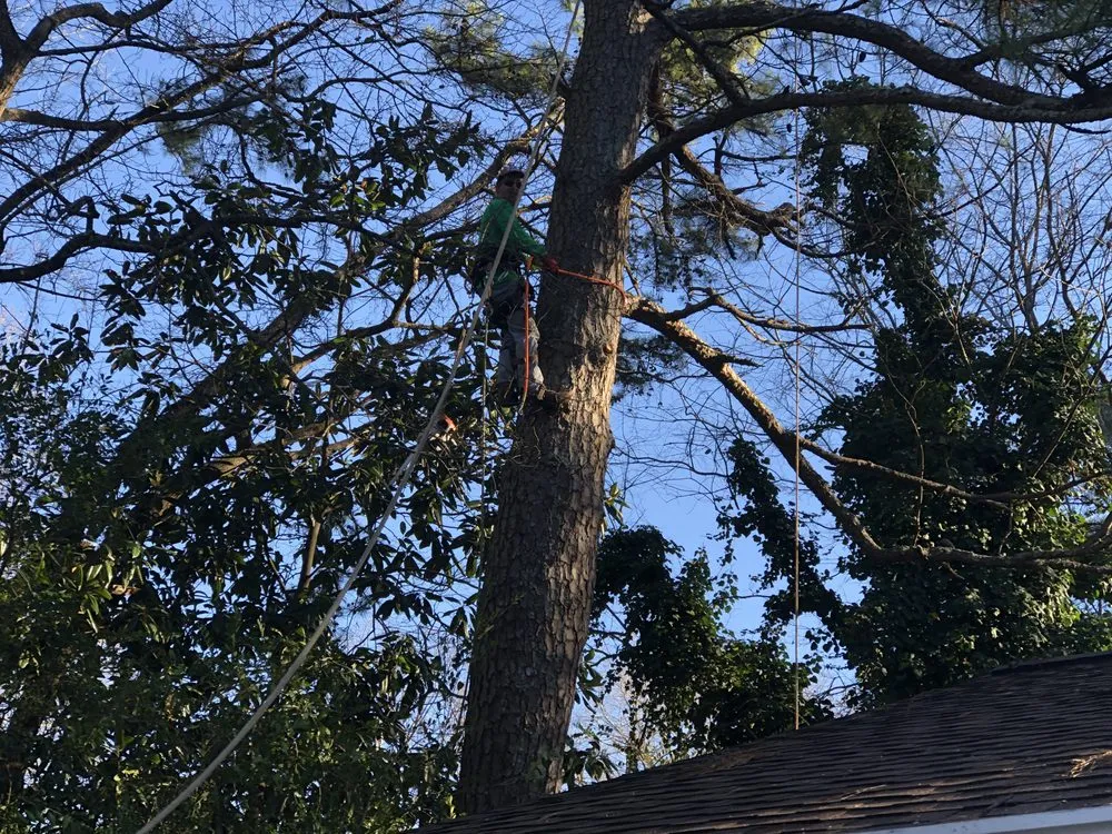 Trusted garden landscaping with custom design across Atlanta, GA - EastLake Tree Services