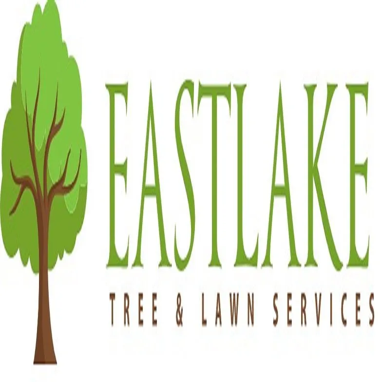 Top-rated outdoor landscaping for year-round maintenance in Atlanta, GA by EastLake Tree Services