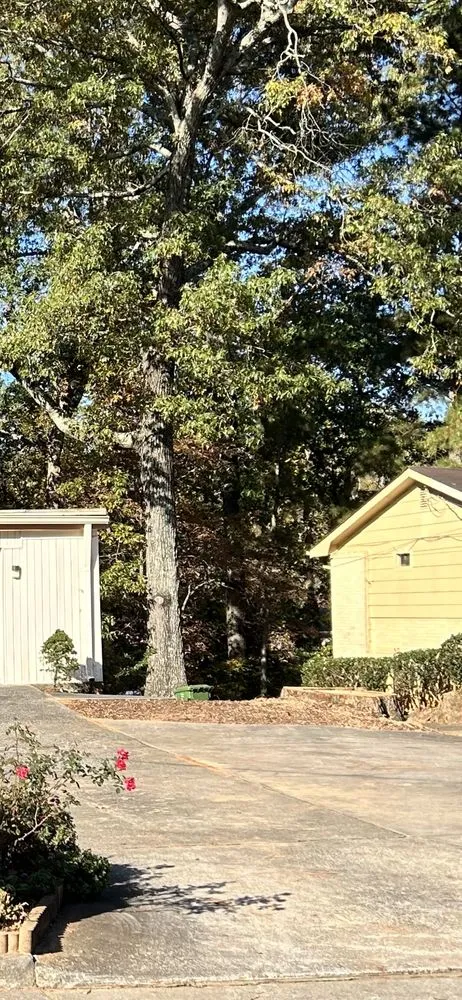 Expert residential landscaping for homes across Atlanta, GA - EastLake Tree Services