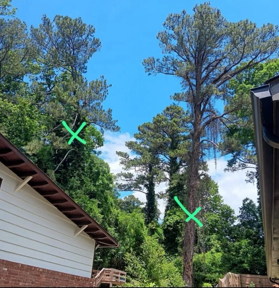 Trusted yard maintenance for year-round maintenance in Atlanta, GA by EastLake Tree Services