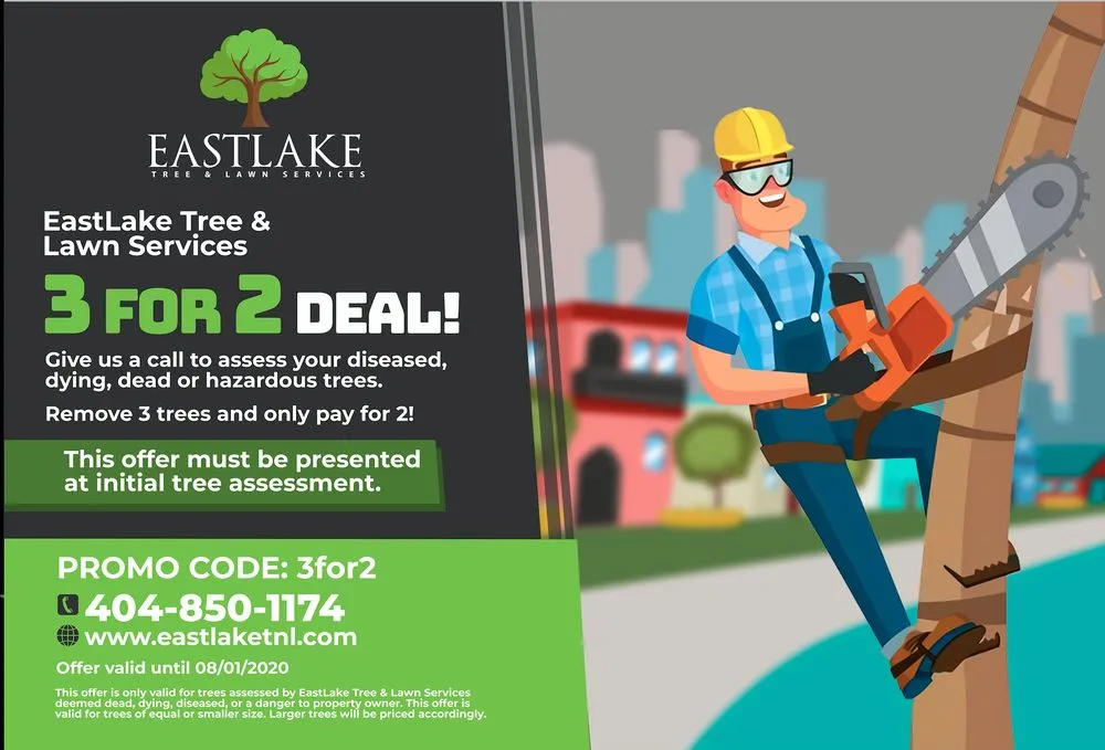 Custom landscape design in Atlanta, GA by EastLake Tree Services