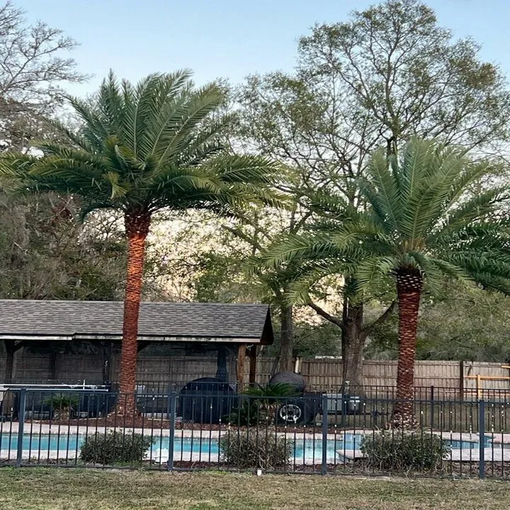 Local yard maintenance for outdoor upgrades in Bryceville, FL by Eastman Landscaping