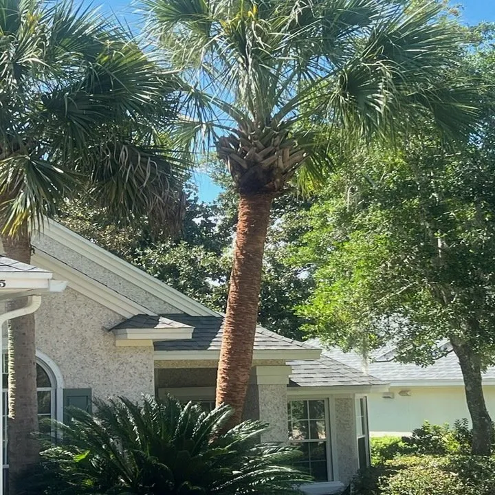 Expert yard maintenance with custom design across Bryceville, FL - Eastman Landscaping