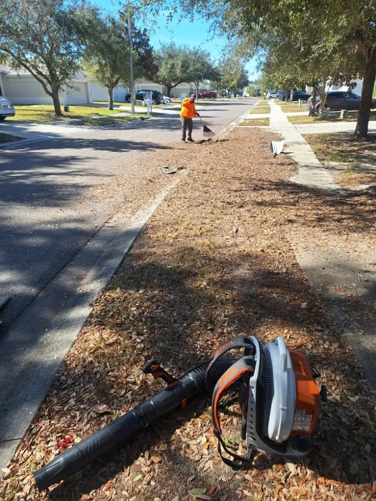 Professional lawn care service for year-round maintenance across New Port Richey, FL - Eastman Lawn Care