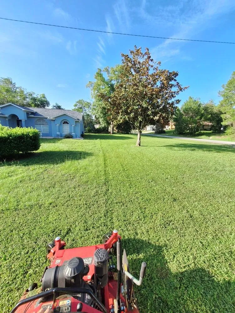 Reliable landscaping services in New Port Richey, FL - Eastman Lawn Care