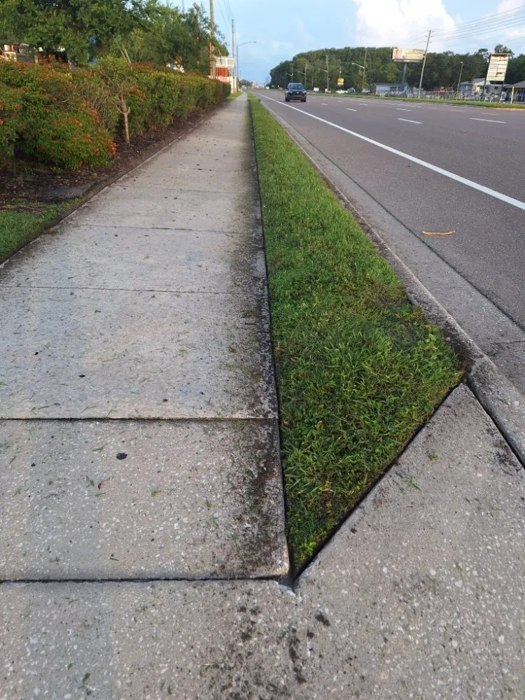 Top-rated landscape design in New Port Richey, FL by Eastman Lawn Care