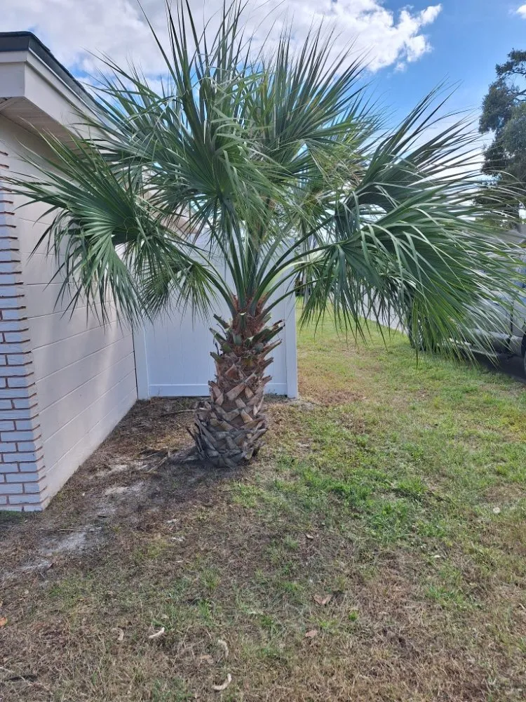 Custom lawn mowing service for homes in New Port Richey, FL by Eastman Lawn Care