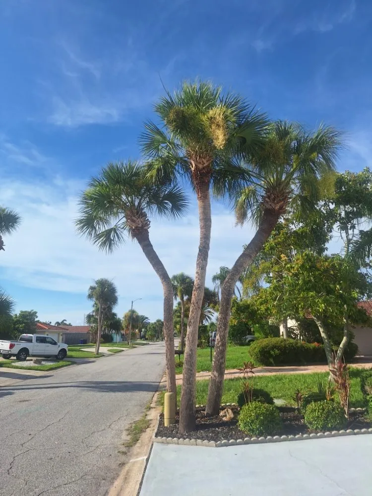 Local landscape design for homes across New Port Richey, FL - Eastman Lawn Care