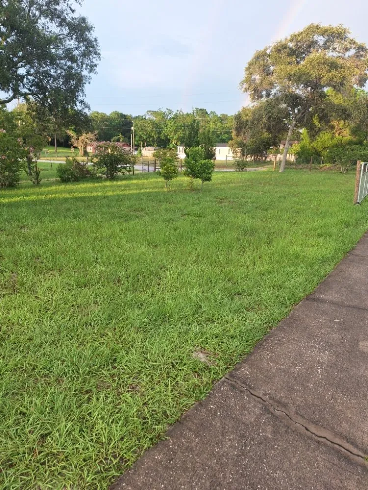 Top-rated lawn mowing service in New Port Richey, FL - Eastman Lawn Care