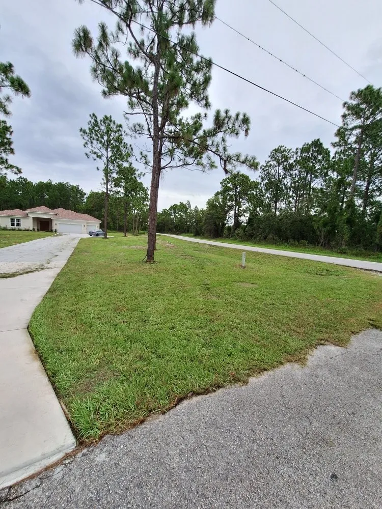 Professional garden landscaping in New Port Richey, FL by Eastman Lawn Care