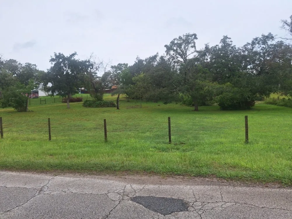 Top-rated yard maintenance for residential properties in New Port Richey, FL by Eastman Lawn Care