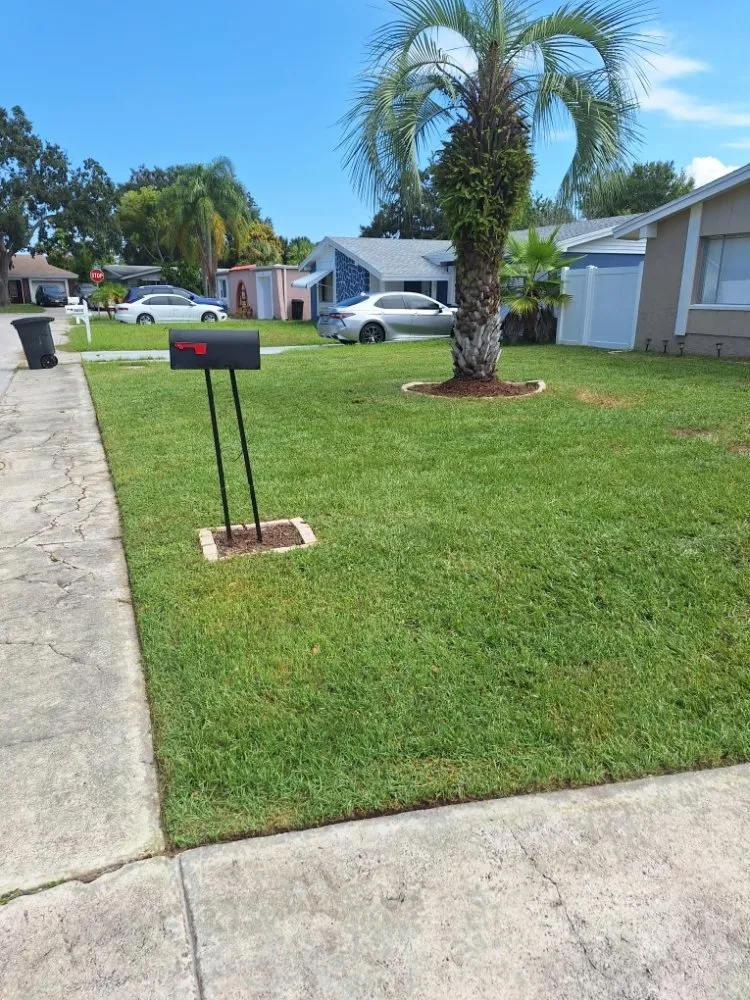 Expert yard maintenance experts serving New Port Richey, FL - Eastman Lawn Care