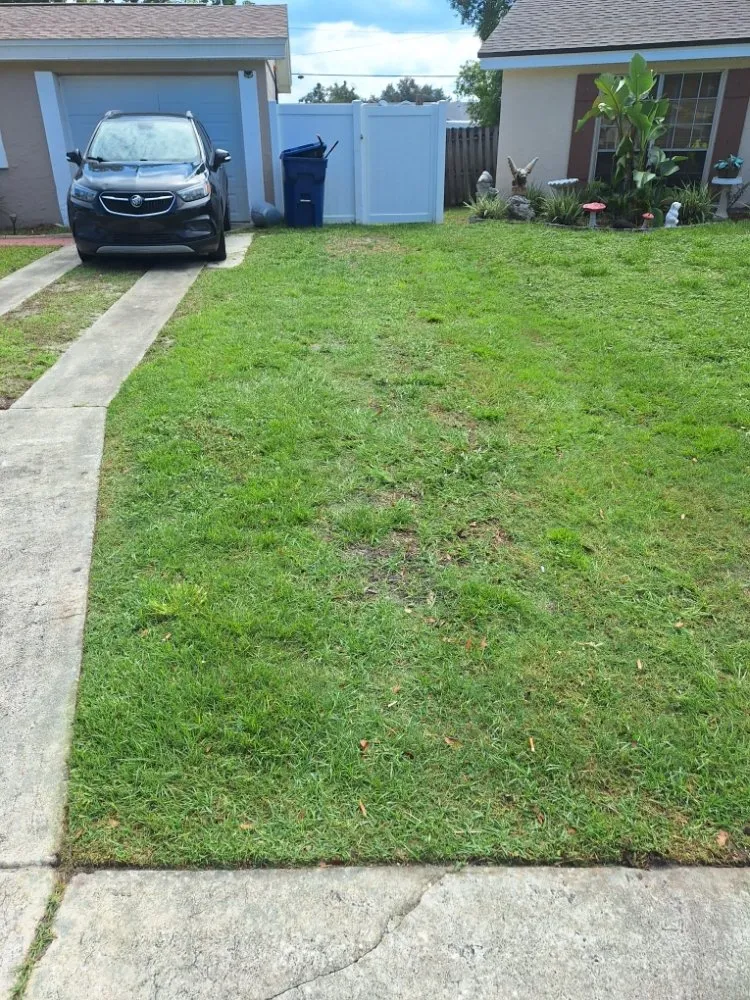 Custom garden landscaping in New Port Richey, FL by Eastman Lawn Care