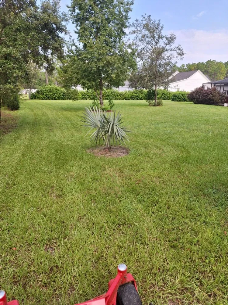 Reliable landscaping services in New Port Richey, FL by Eastman Lawn Care