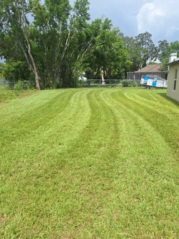 Affordable landscaping services experts serving New Port Richey, FL - Eastman Lawn Care