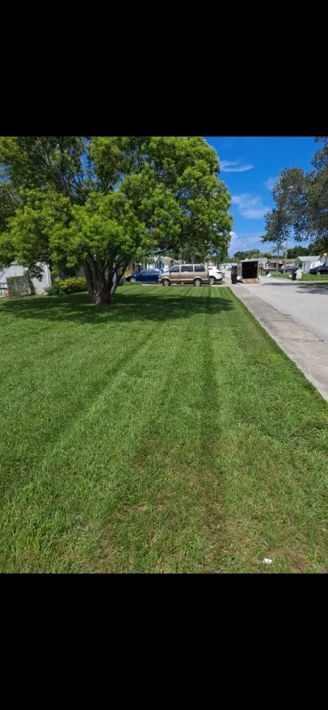Affordable landscape installation in New Port Richey, FL by Eastman Lawn Care