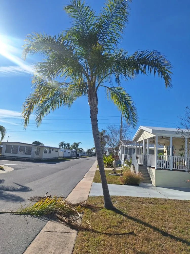 Expert lawn mowing service near you in New Port Richey, FL by Eastman Lawn Care