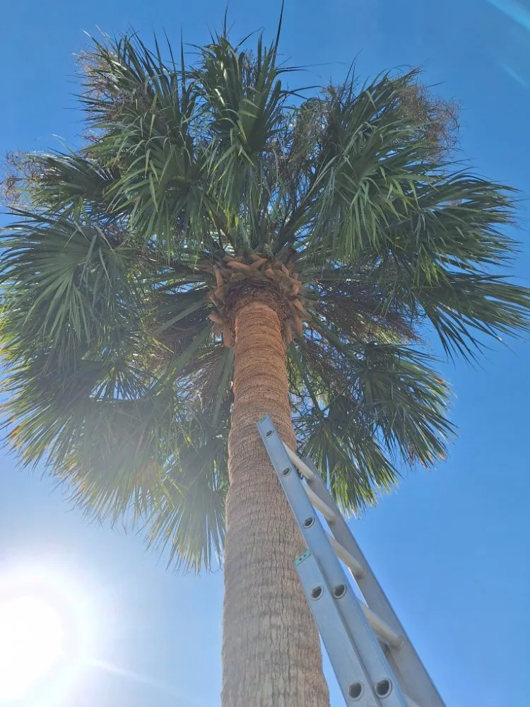 Local residential landscaping in New Port Richey, FL - Eastman Lawn Care